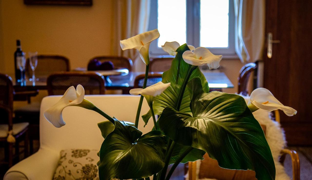 Il Palagetto B&B Florens Exteriör bild
